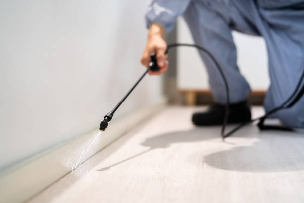 Licensed Pest Control service in Yellow Springs, OH - Show Me Pest Control