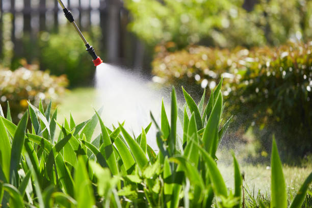 24/7 Emergency Mosquito Control experts in Yellow Springs, OH