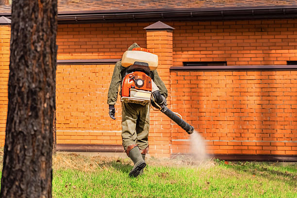 Top rated local Mosquito Control specialists in Yellow Springs, OH